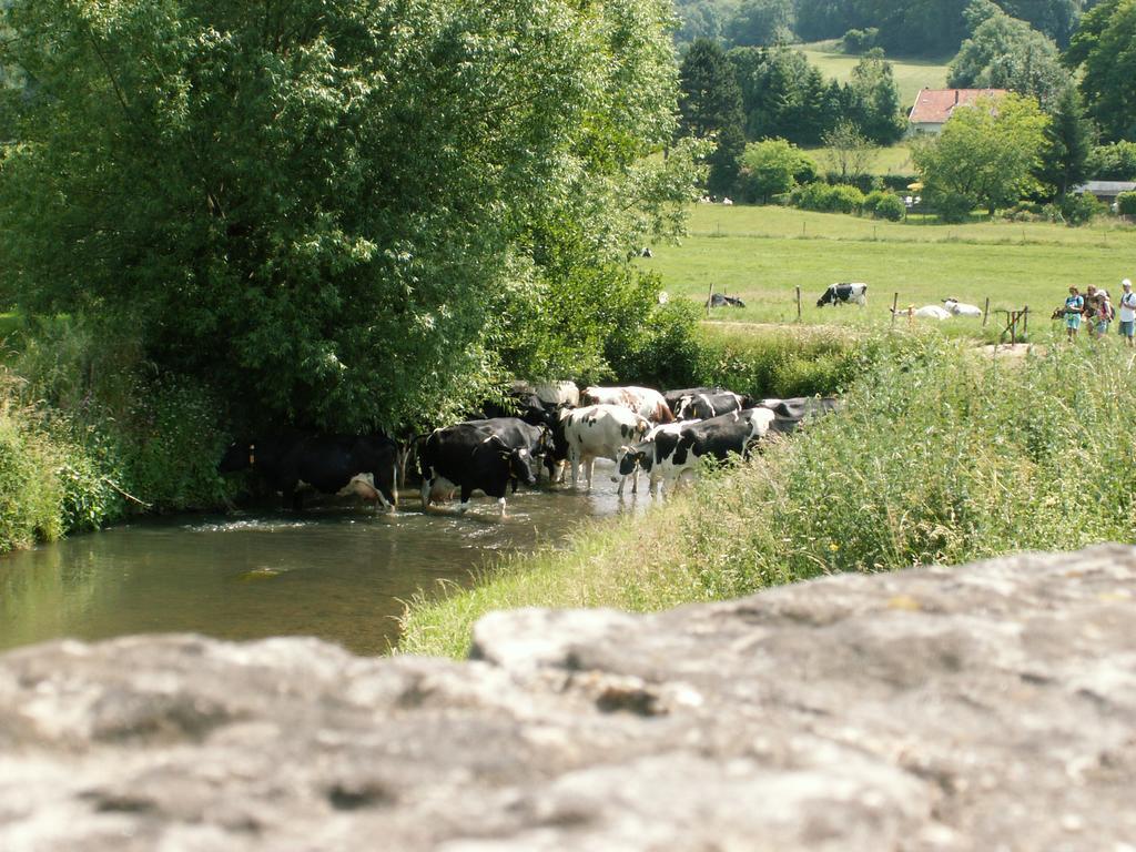 Auberge De Smockelaer Heijenrath Cameră foto